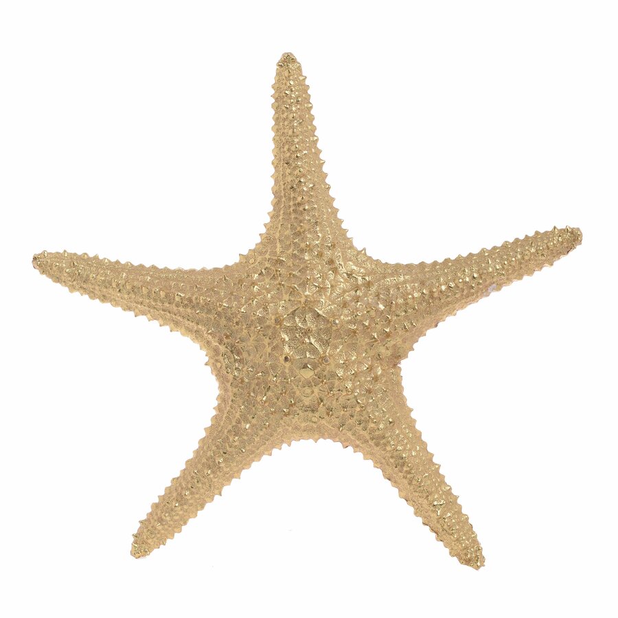 Starfish Decoratiune stea, Polirasina, Auriu